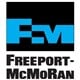Freeport-McMoRan Inc. stock logo