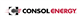 CONSOL Energy Inc. stock logo